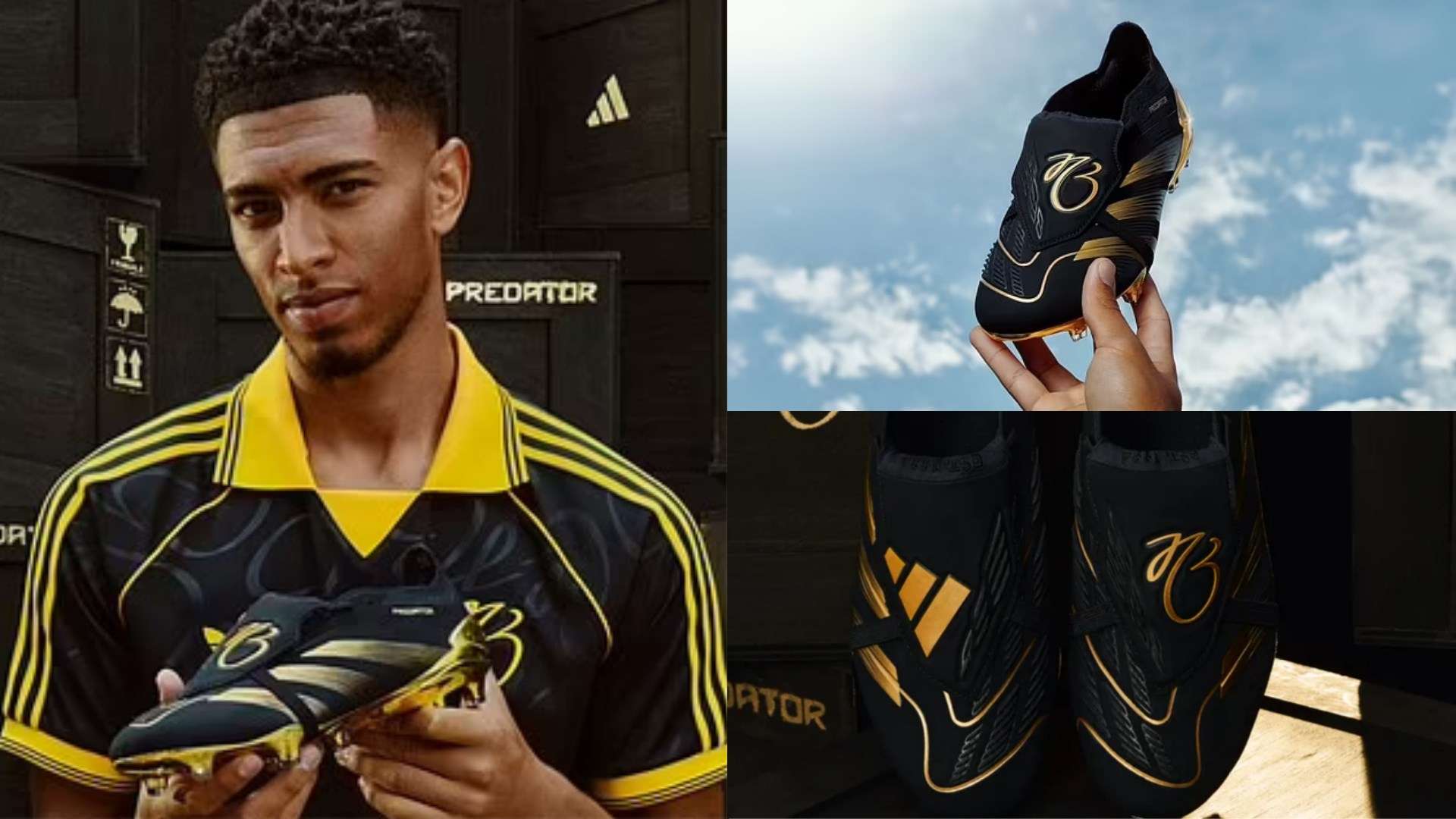 领域保持前 领域保持前