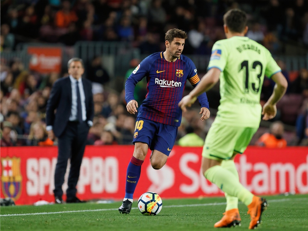 仅展现了顶 仅展现了顶